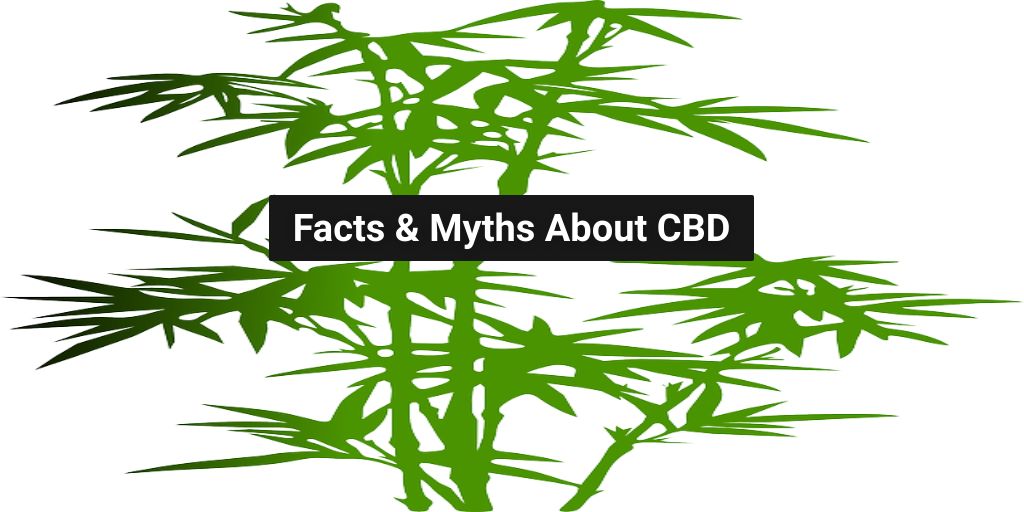 facts and myths about CBD use