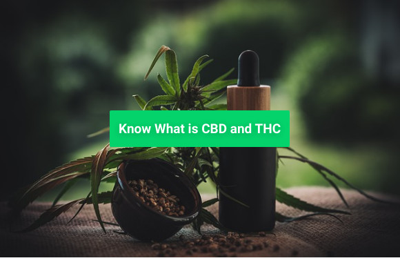 Know What is CBD and THC