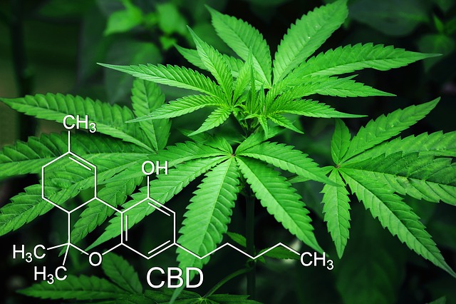 Can CBD Help With Muscle Spasms